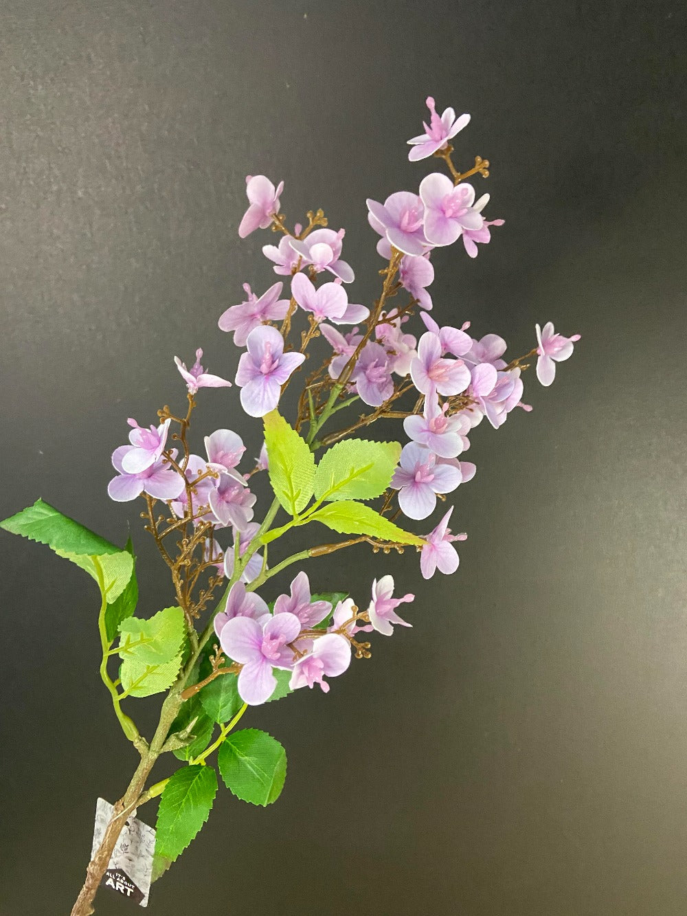 Wild rose Lila