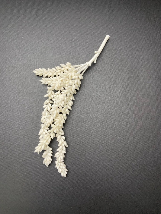 Krem artystyczny z grochu roślinnego