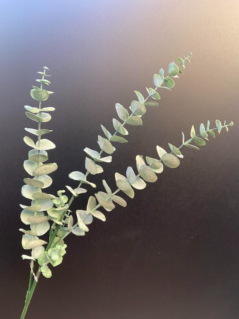 Künstlicher Zweig Eukalyptus – Sisi Living