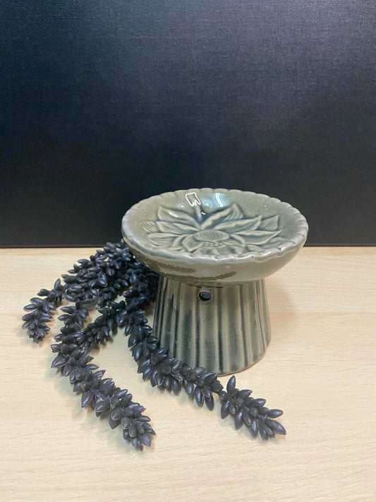 geurbrander lotus met erwtenplant