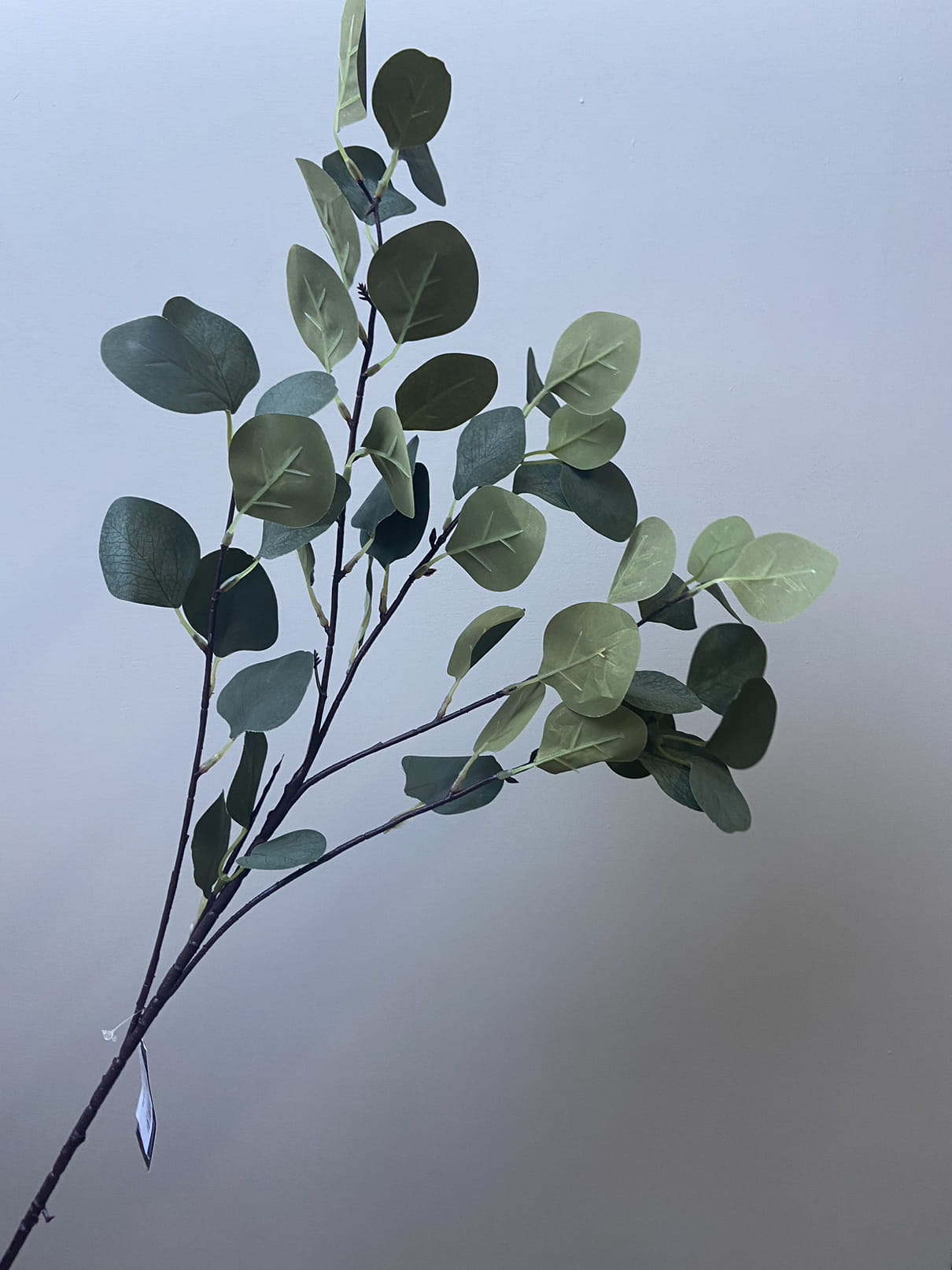 Künstlicher Zweig Eukalyptusblatt – Sisi Living