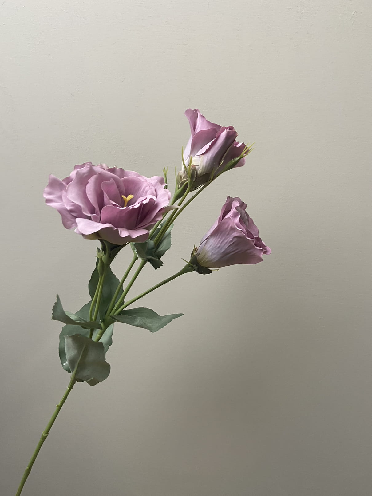 künstliche blume Künstliche Blume Lisianthus lila – Sisi Living