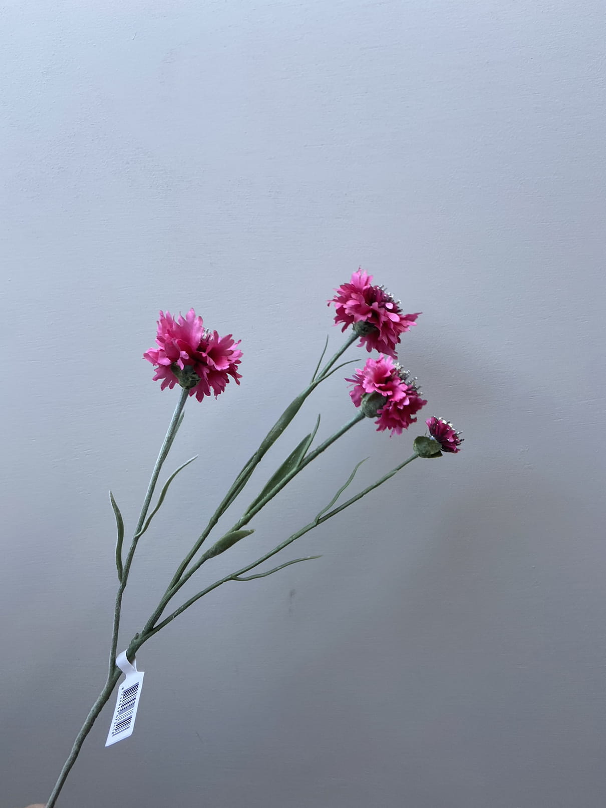 künstliche kornblumen kaufen Künstliche Blume Kornblume rosa – Sisi Living
