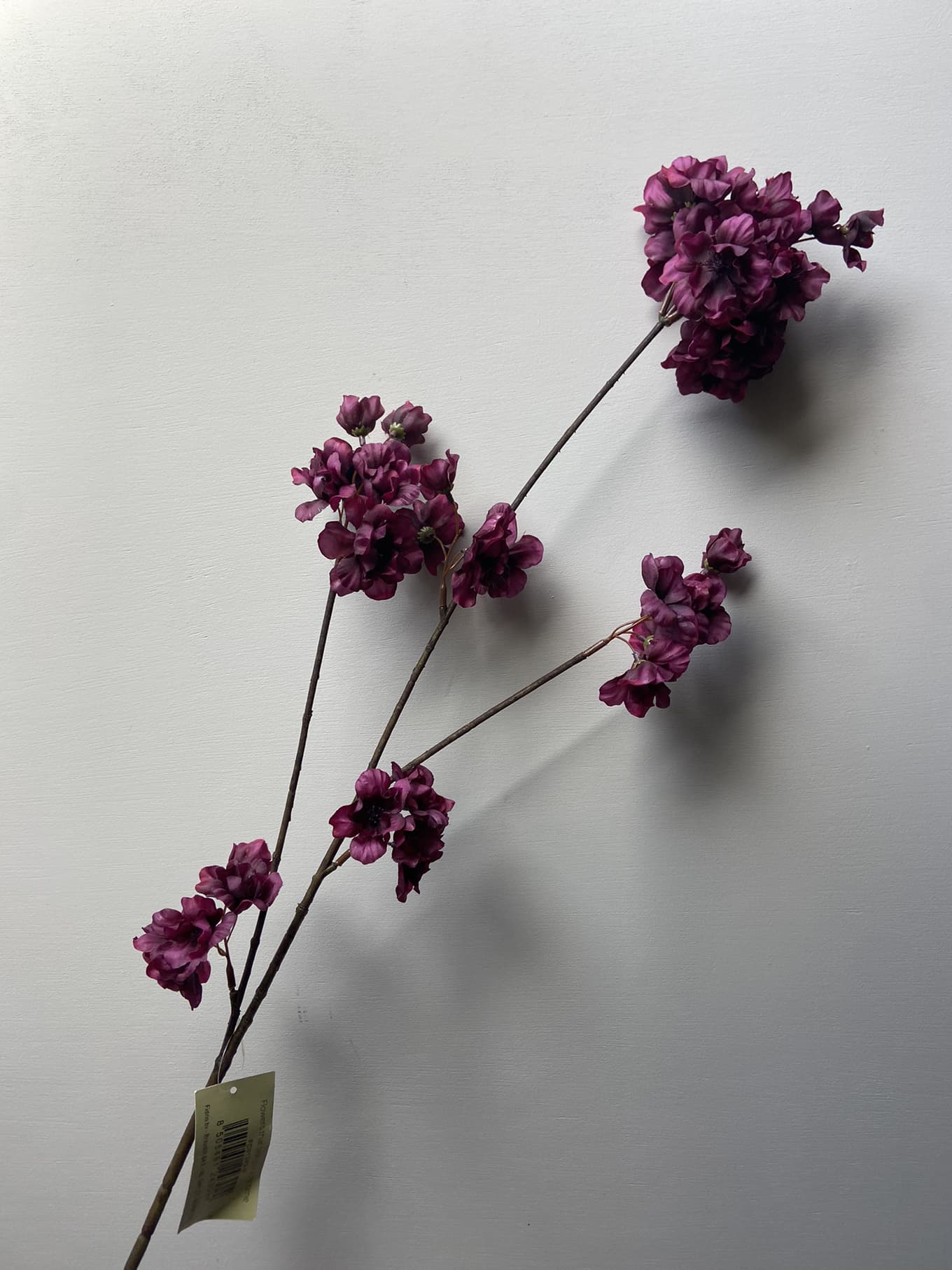 Kunsttak bloesem Prunus in kleur aubergine