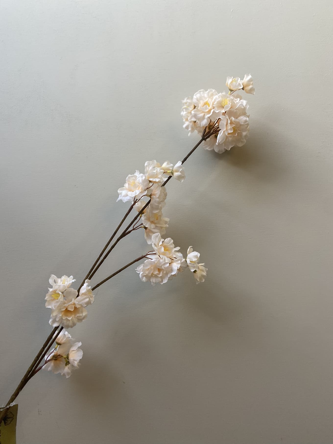 Zijden bloesemtak Prunus beige