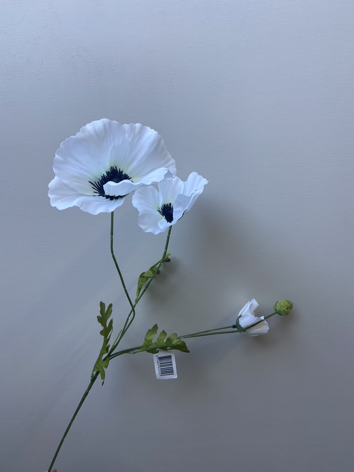 Künstliche Blume Mohn weiß – Sisi Living