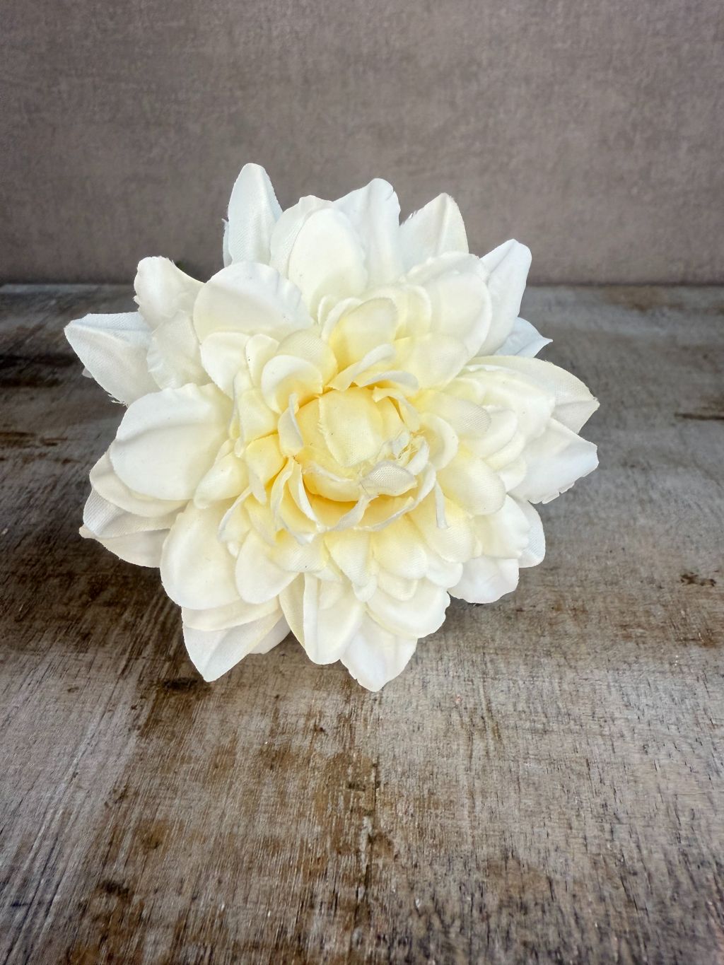 Crème-witte kunst dahlia van Colmore liggend op een lichtgrijze ondergrond met zichtbaar etiket.
