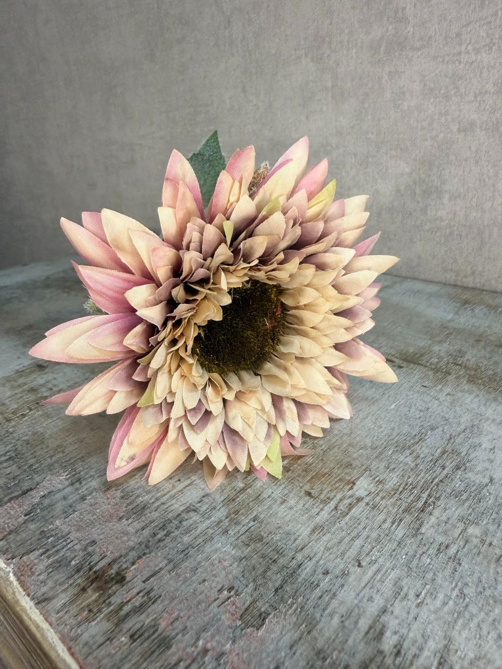 Bloem Gerbera