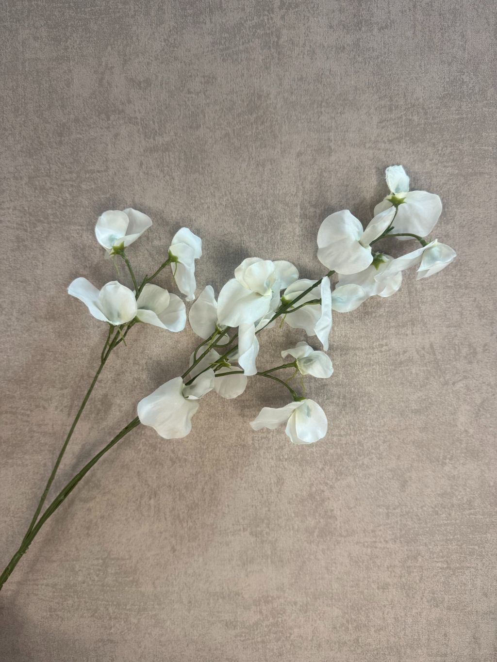 Kunstbloem Lathyrus wit