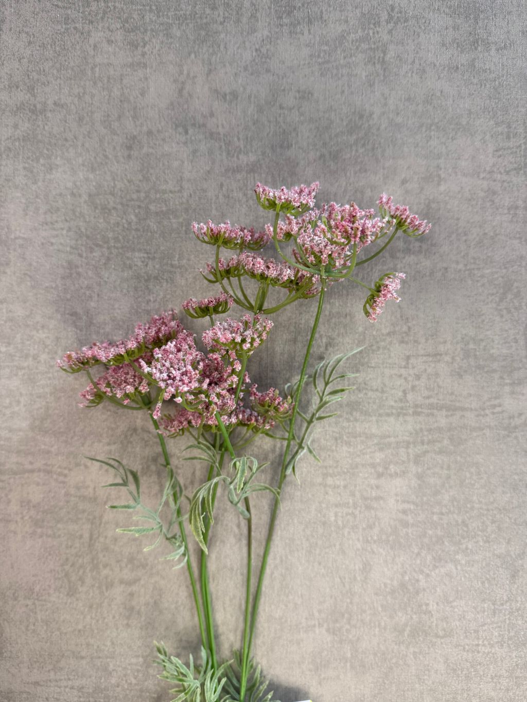 Close-up van een kunstbloem Wilde peen in zachte roze tint, liggend op een houten ondergrond met vintage uitstraling.