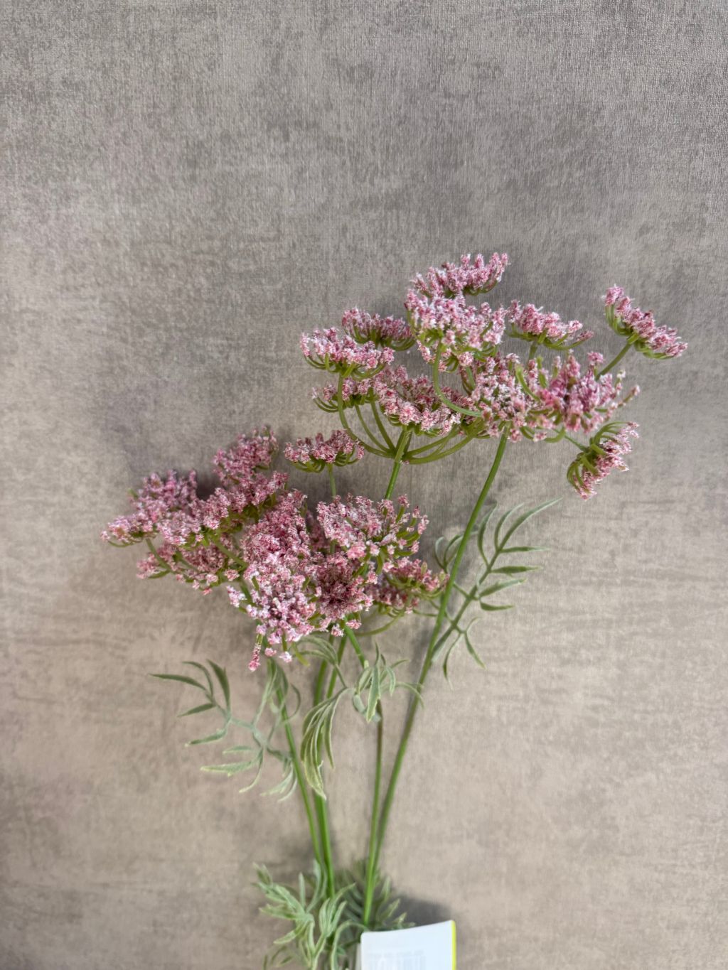 Close-up van een kunstbloem Wilde peen in zachte roze tint, liggend op een houten ondergrond met vintage uitstraling.