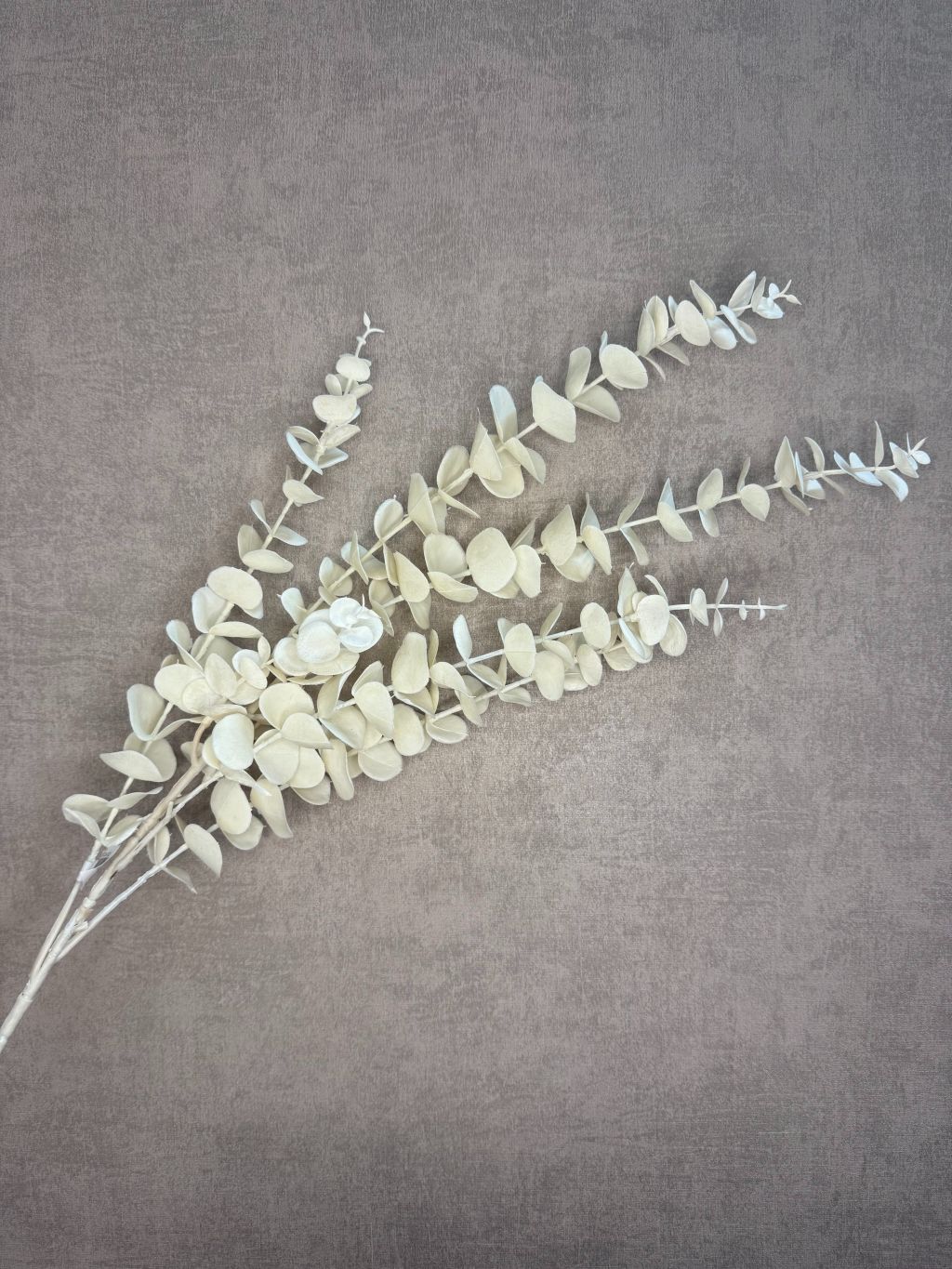 Kunsttak eucalyptus in creme kleur