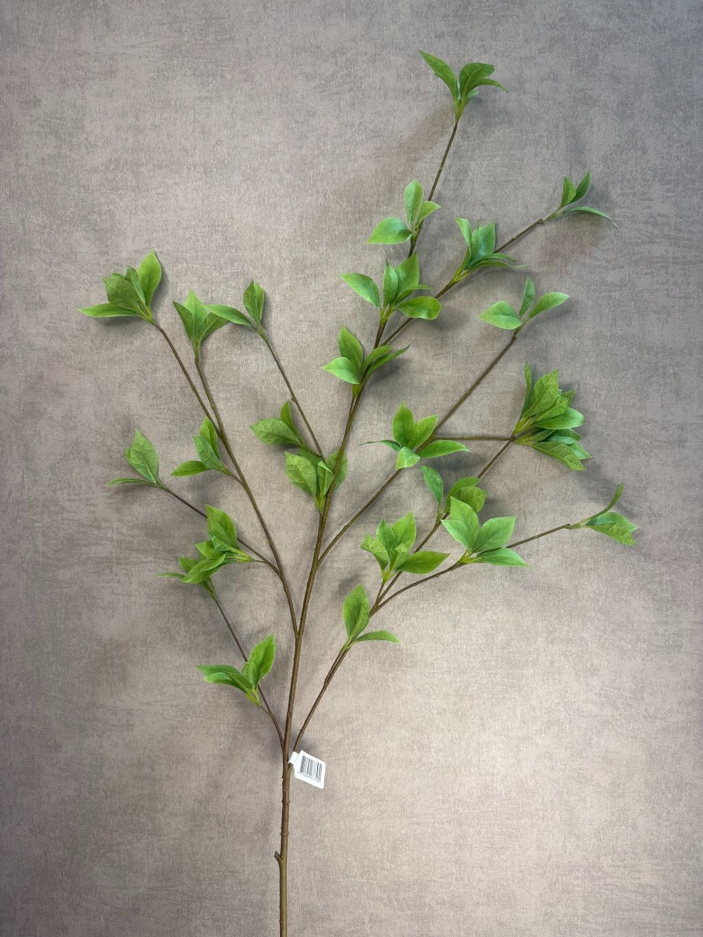 Kunsttak Brasiliana leaf