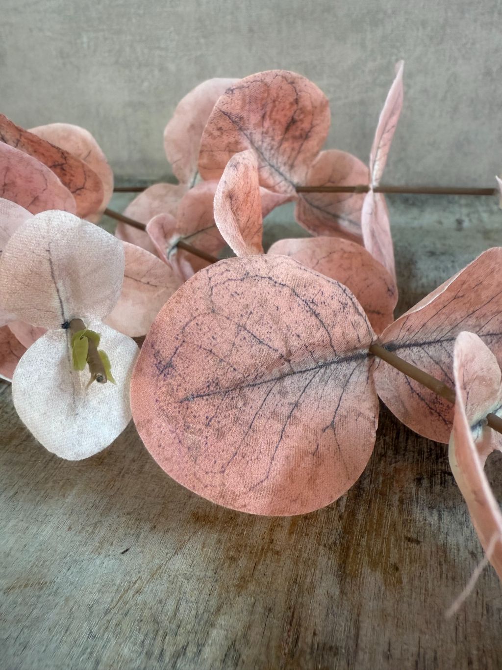 Kunsttak eucalyptus roze – decoratieve tak van 68 cm van Homebound by KY