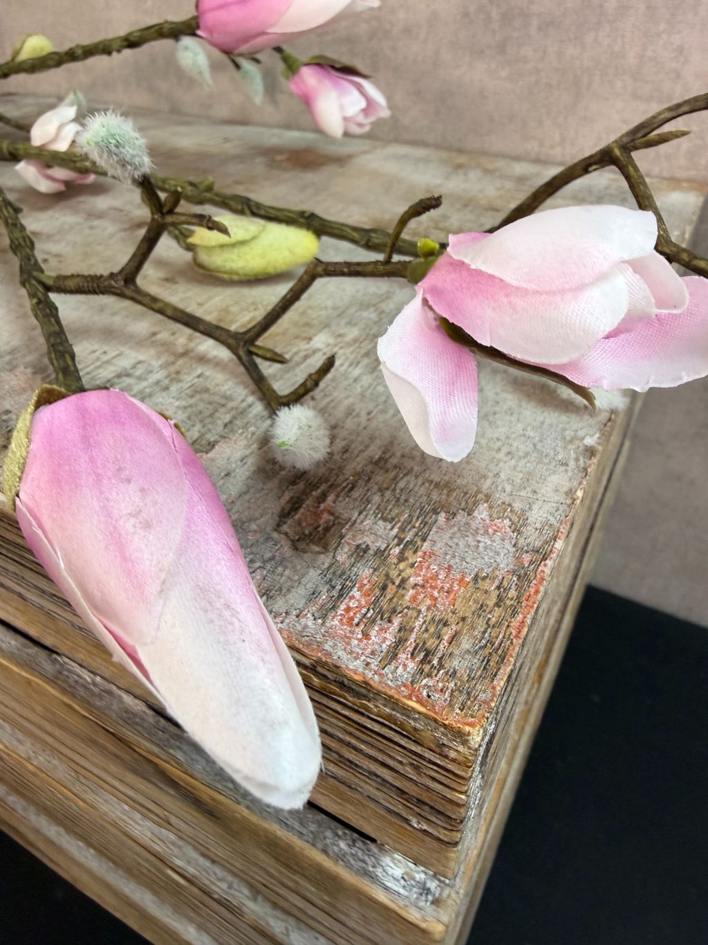 Kunsttak magnolia met roze knoppen en vertakte steel, gefotografeerd tegen een neutrale achtergrond.
