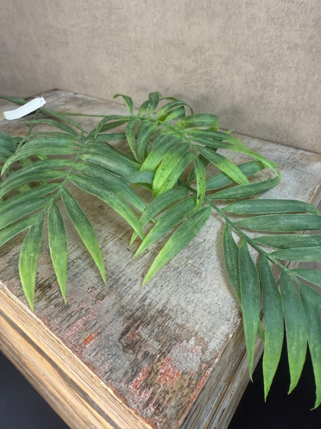 Kunsttak palm met meerdere groene, langwerpige bladeren op een stevige steel, gefotografeerd op een houten krat.