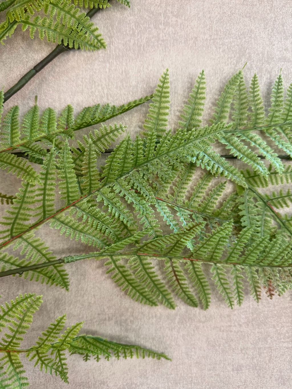 Sztuczna paproć | Zielony