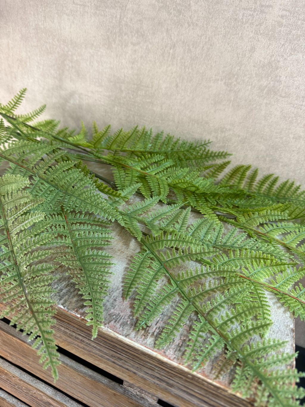 Sztuczna paproć | Zielony