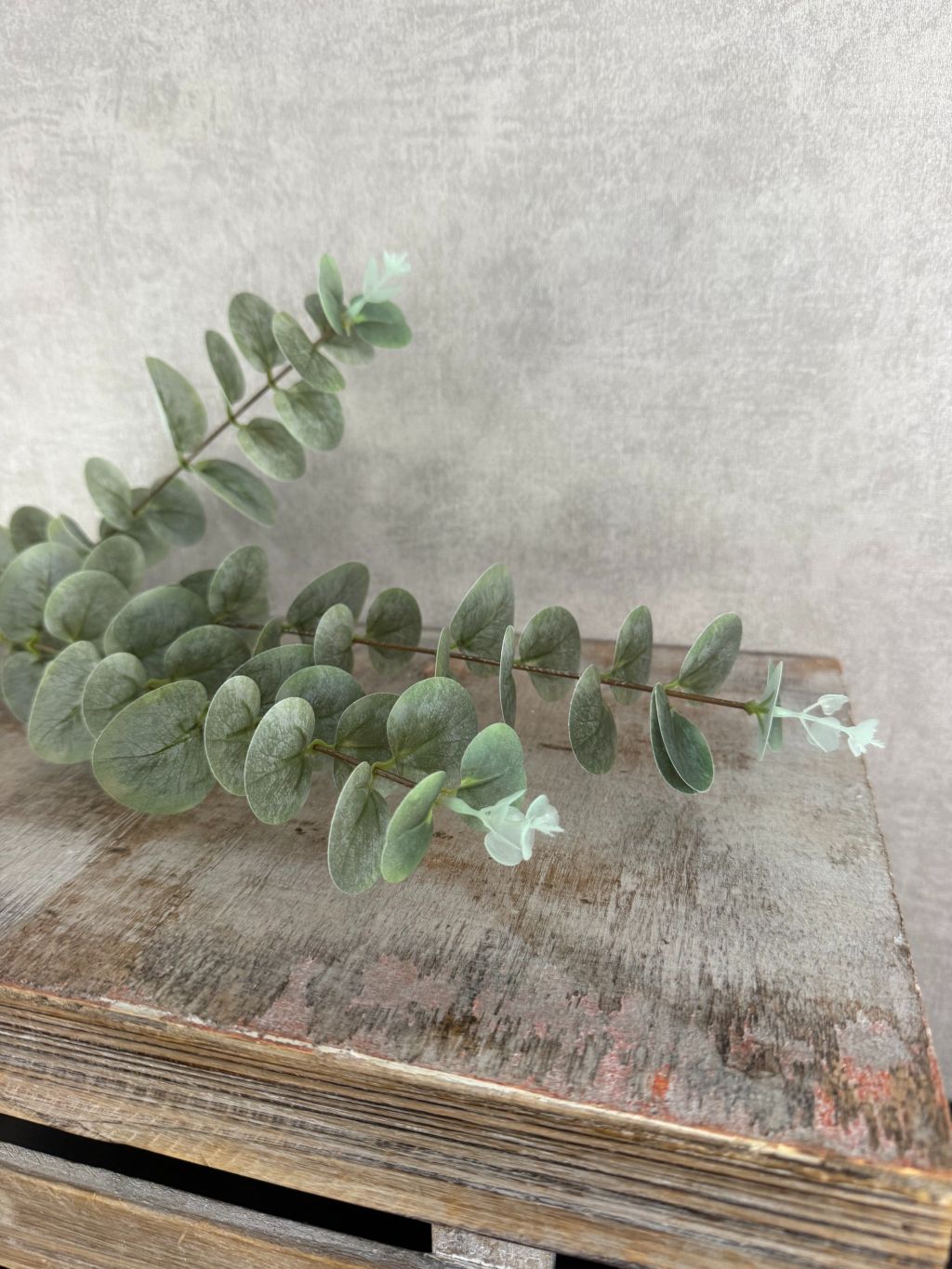 Kunsttak eucalyptus van 82 cm met grijsgroene bladeren tegen een houten ondergrond.