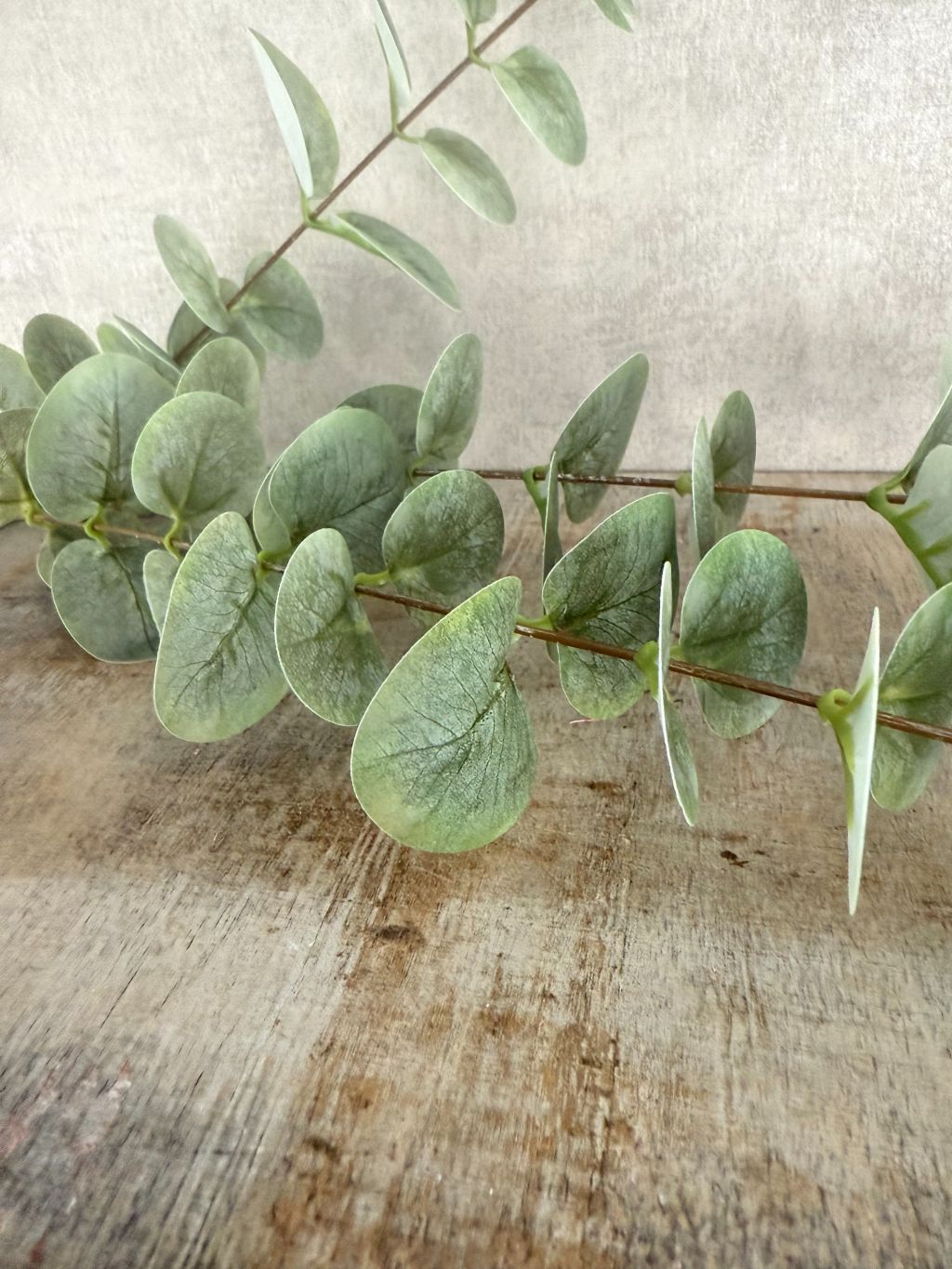 Kunsttak eucalyptus van 82 cm met grijsgroene bladeren tegen een houten ondergrond
