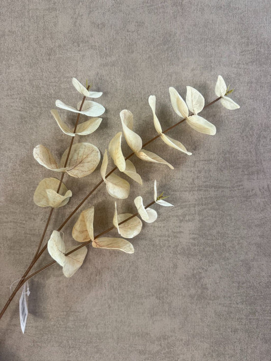 Sztuczna gałązka eukaliptusa | Beżowa