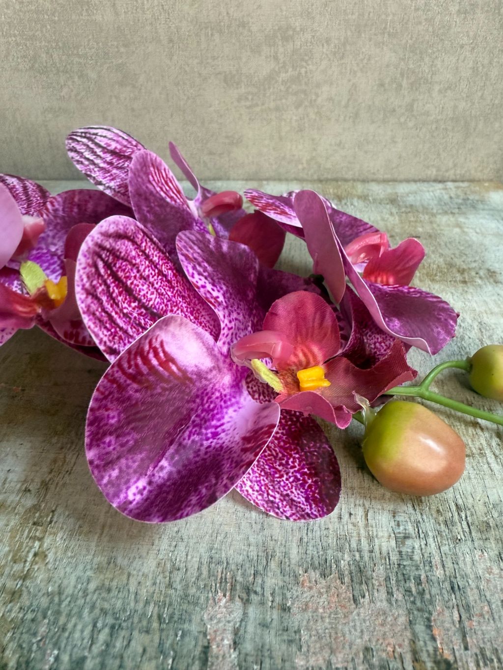 Violette kunstorchidee van 66 cm met real touch afwerking voor een natuurgetrouwe uitstraling.