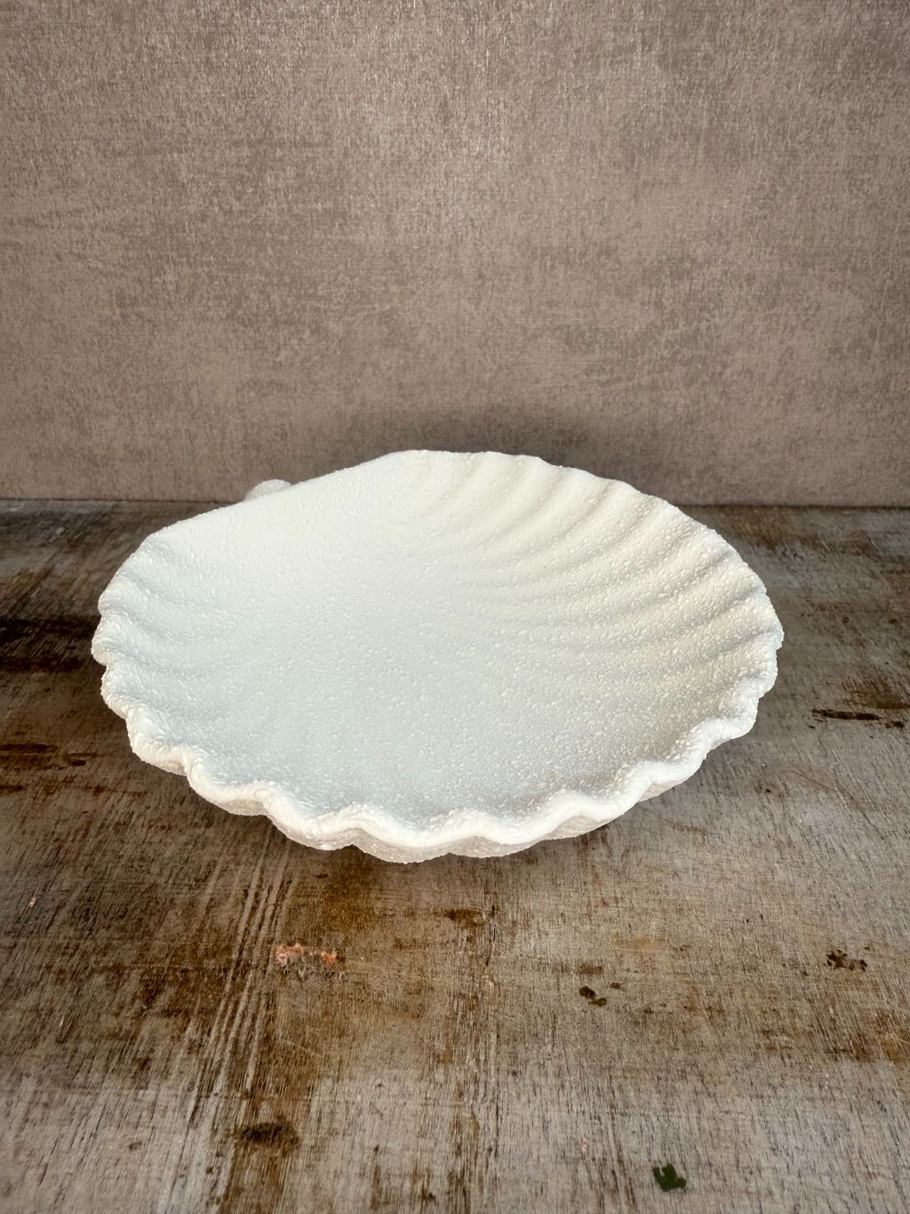 Schaaltje schelp crème