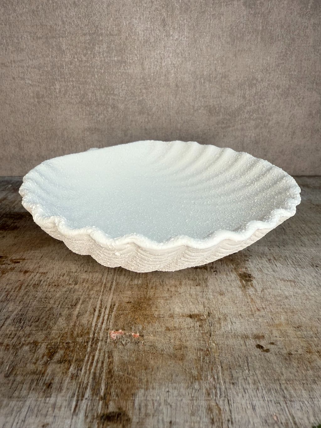 Schaaltje schelp crème