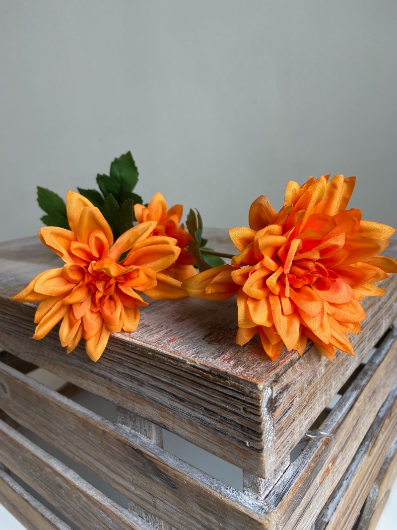 Dahlia oranje punt 68