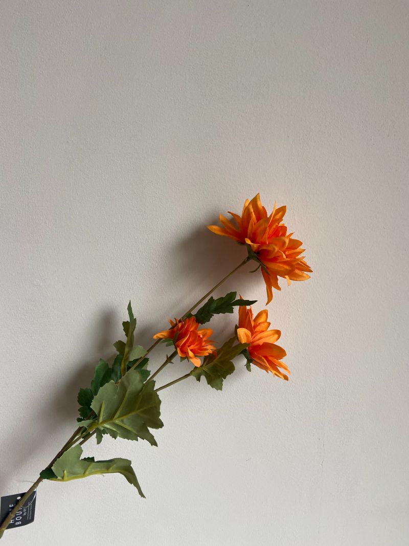 Dahlia oranje punt 68