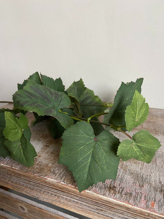 Gałąź sztuki Liść winogron