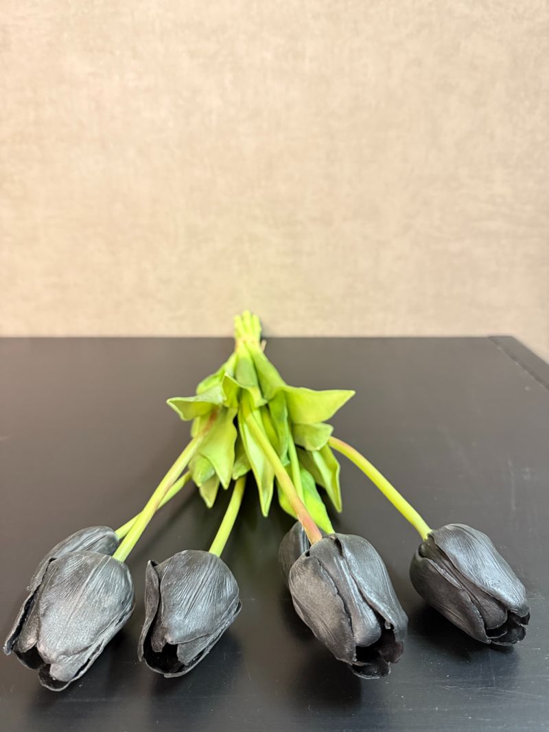 Echte Tulpen schwarz