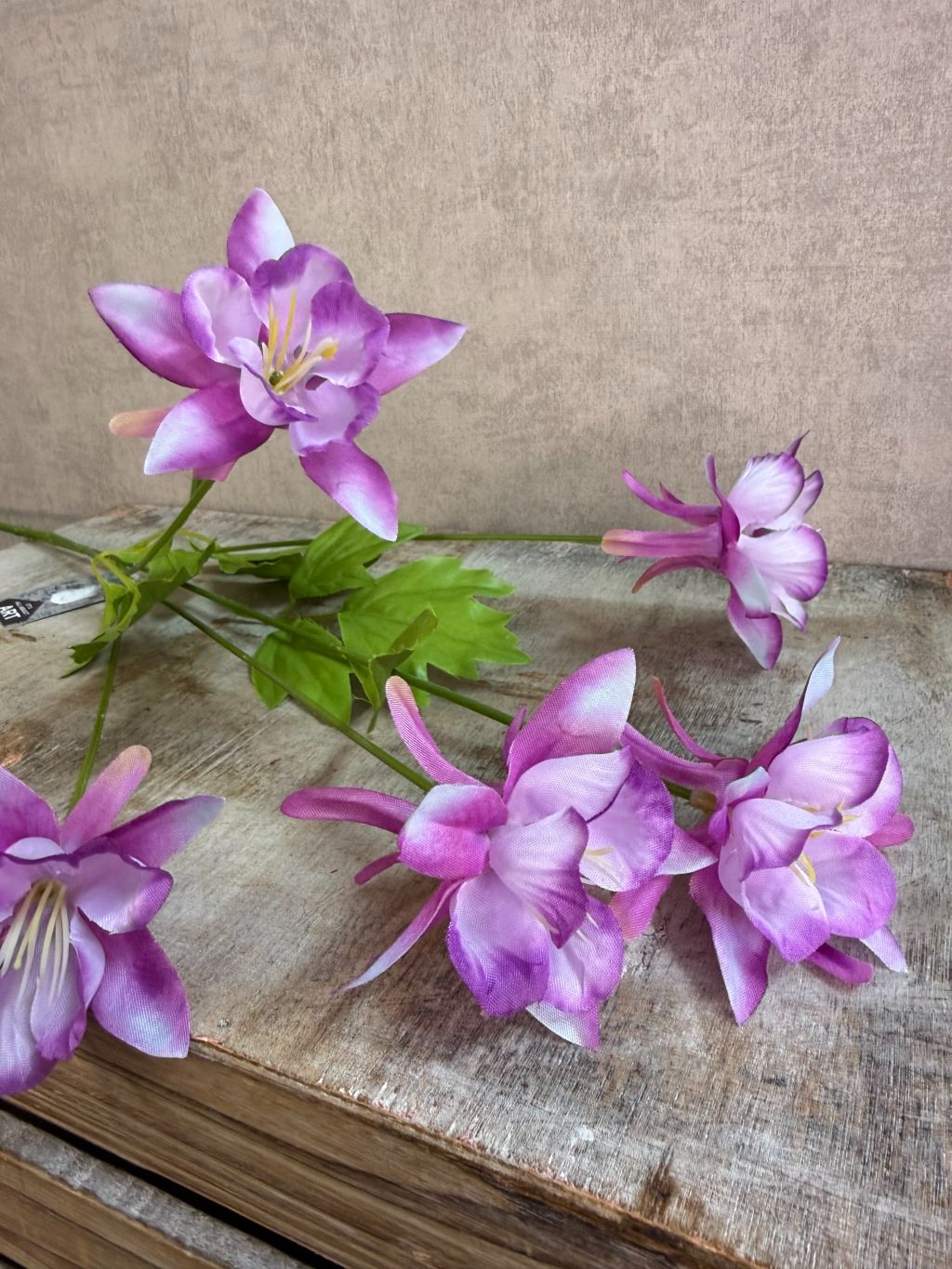 Paarse kunstbloem akelei met meerdere bloemen en groene bladeren tegen een neutrale achtergrond.