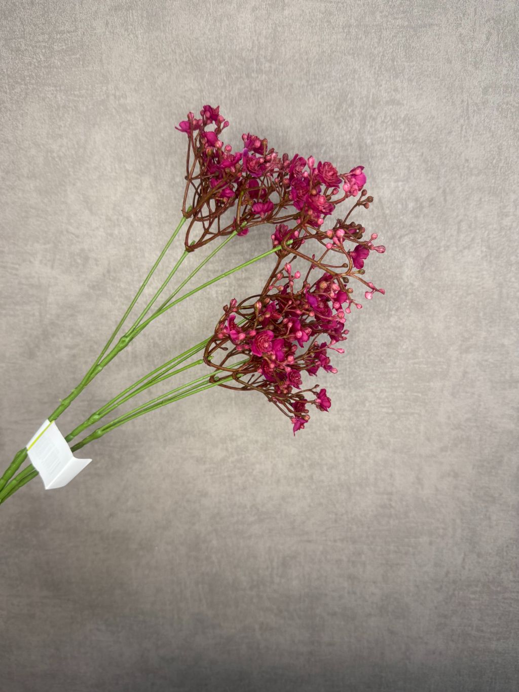 Roze / paars kleurige kunst gipskruid