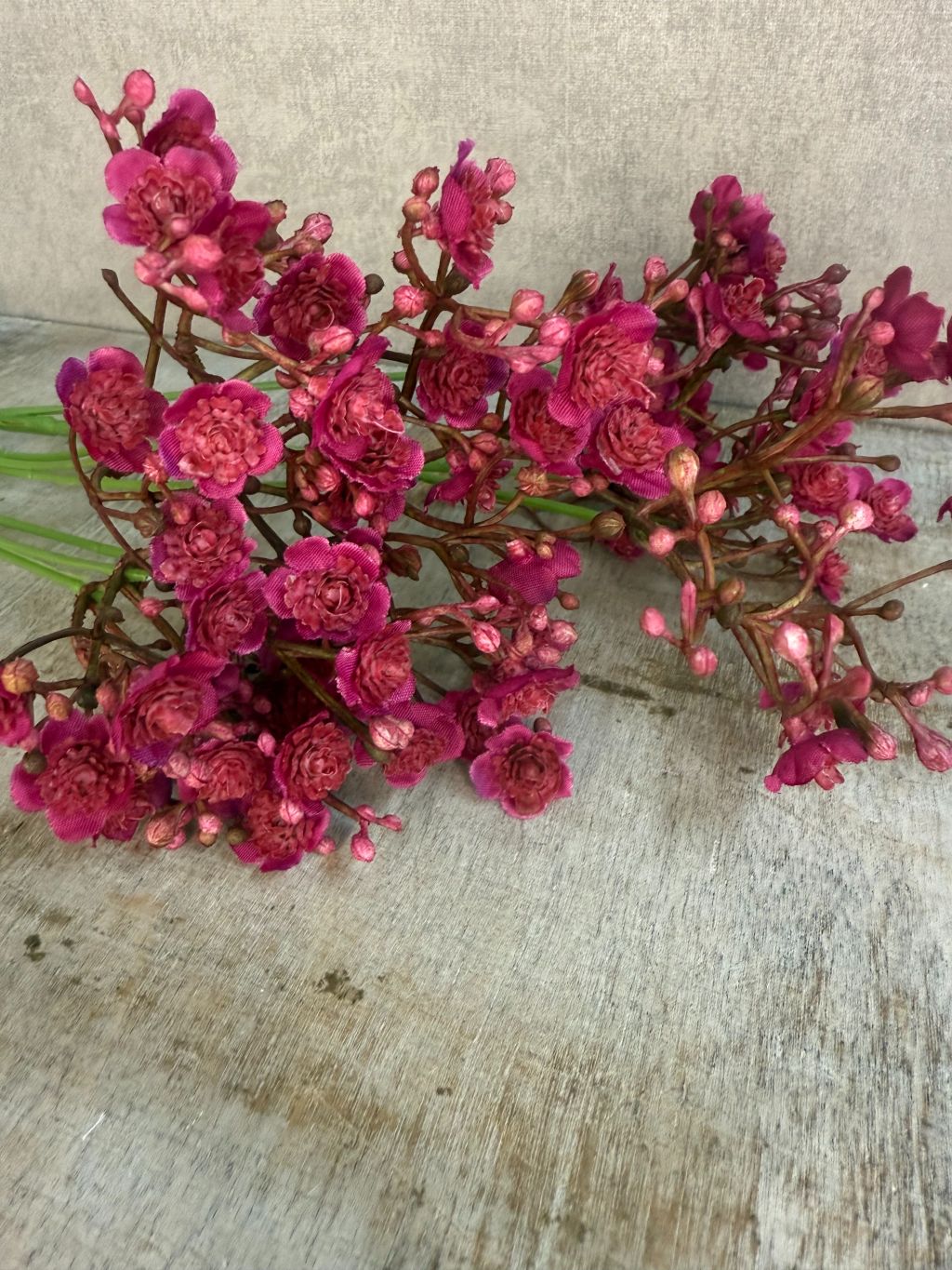 Roze / paars kleurige kunst gipskruid