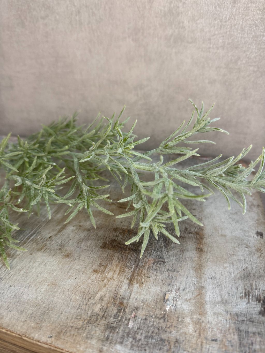 Kunsttak Asperge