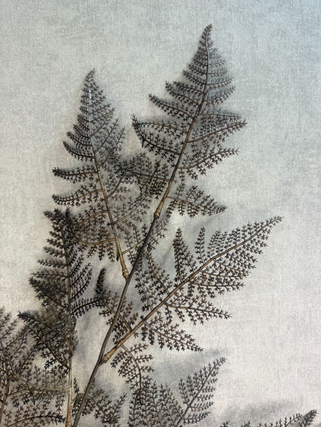 Kunsttak Varen bruin – decoratieve tak met fijne varenblaadjes in warme bruintinten tegen een neutrale achtergrond.