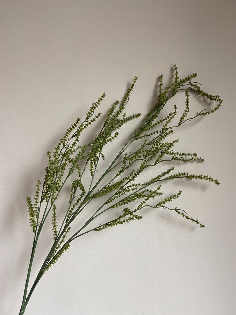 Kunsttak wilde asperge