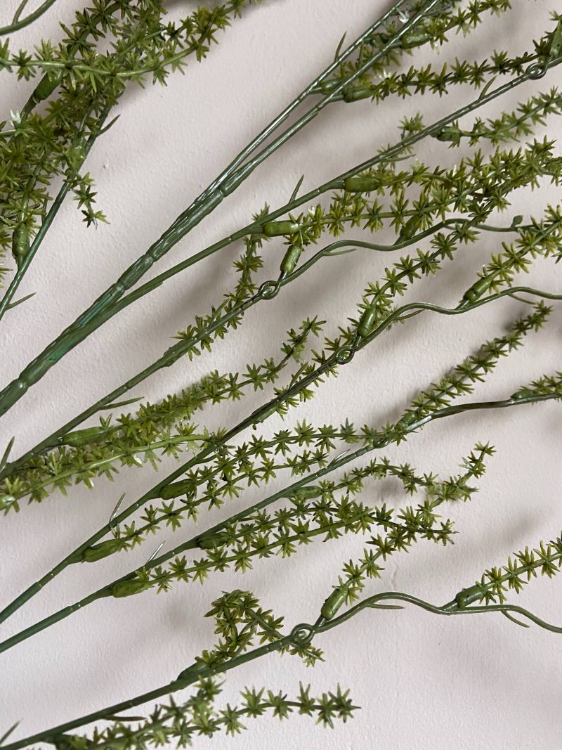 Kunsttak wilde asperge
