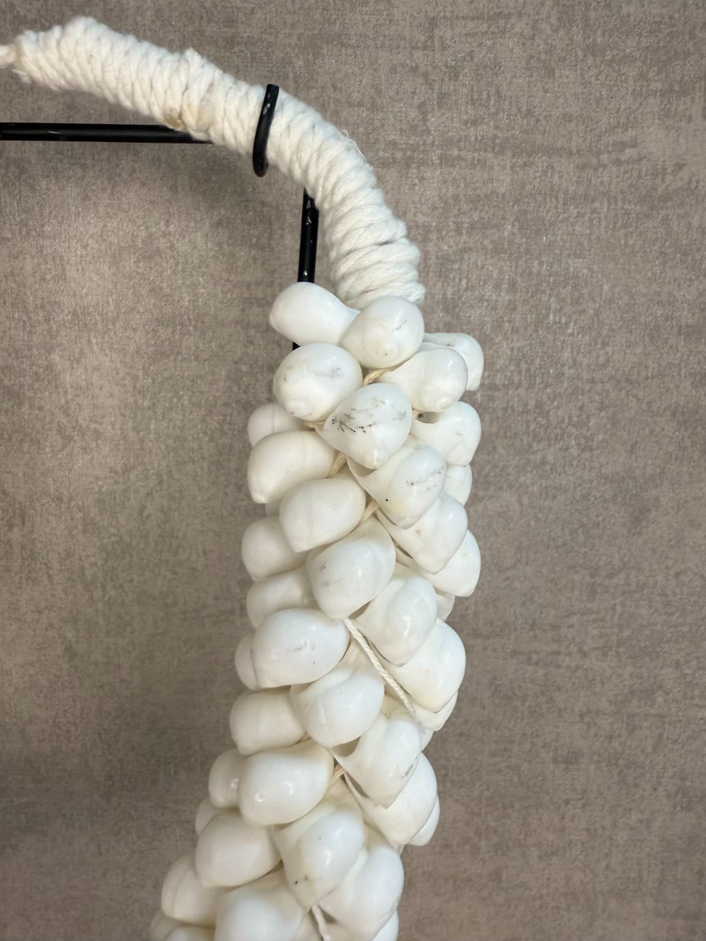 Schelp Ornament Shell | Crème