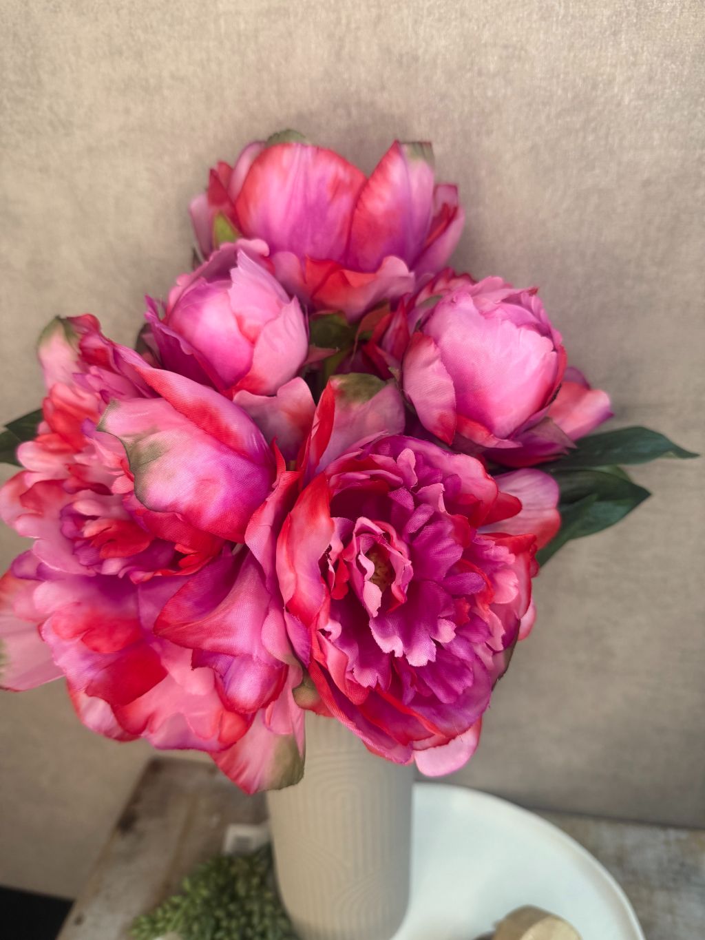 Prachtige roze pioenroos