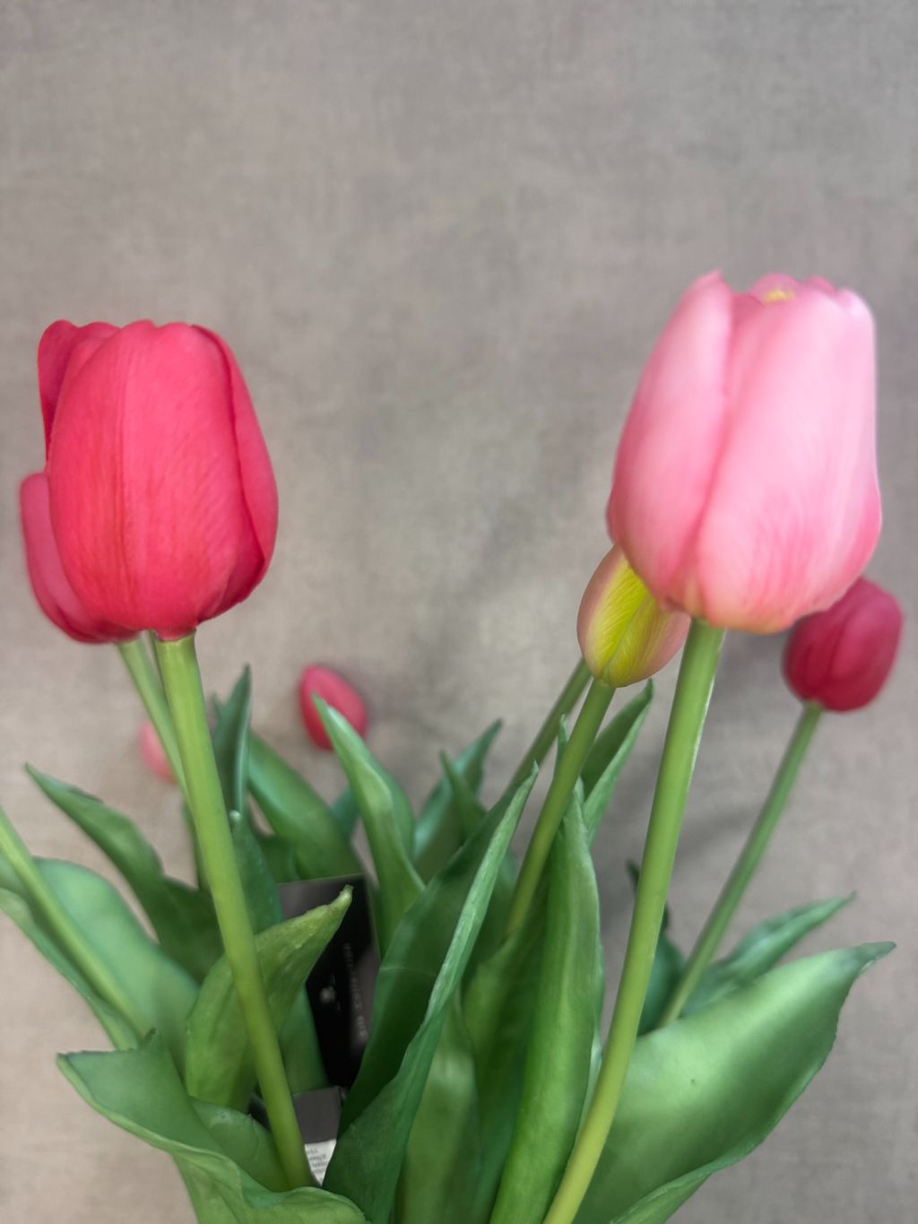 realtouch kunst tulpen
