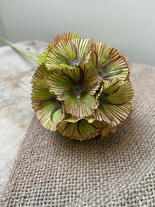 Artificial flower Scabiosa seed