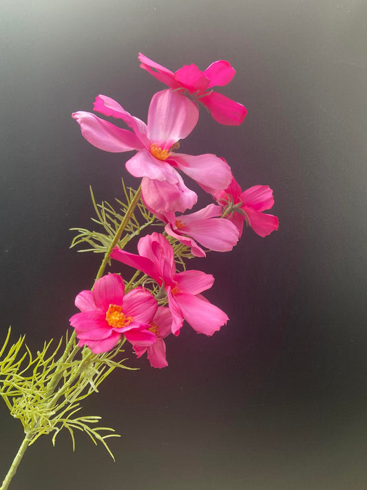 Artificial flower Cosmos pink