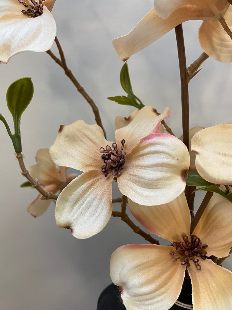 Dogwood kunsttakken