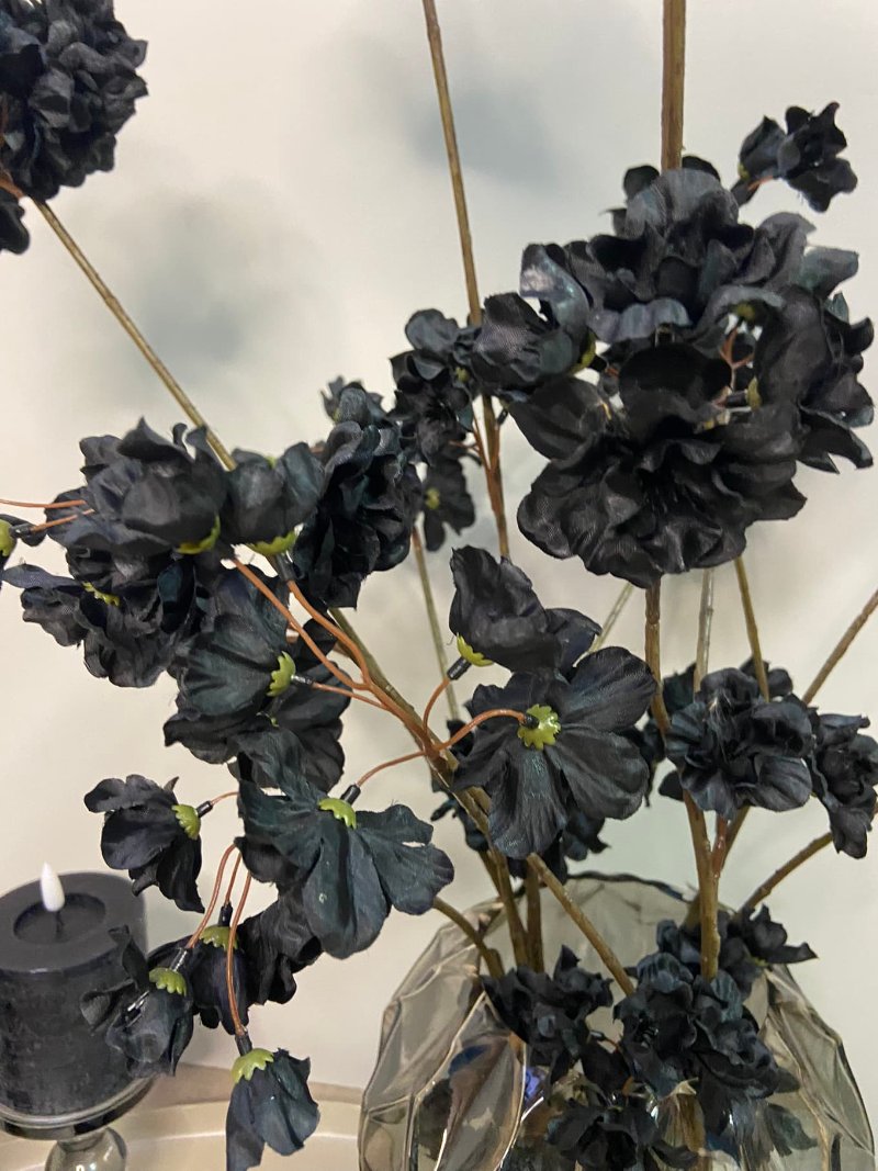 Dekorationsset Schwarze Schönheit