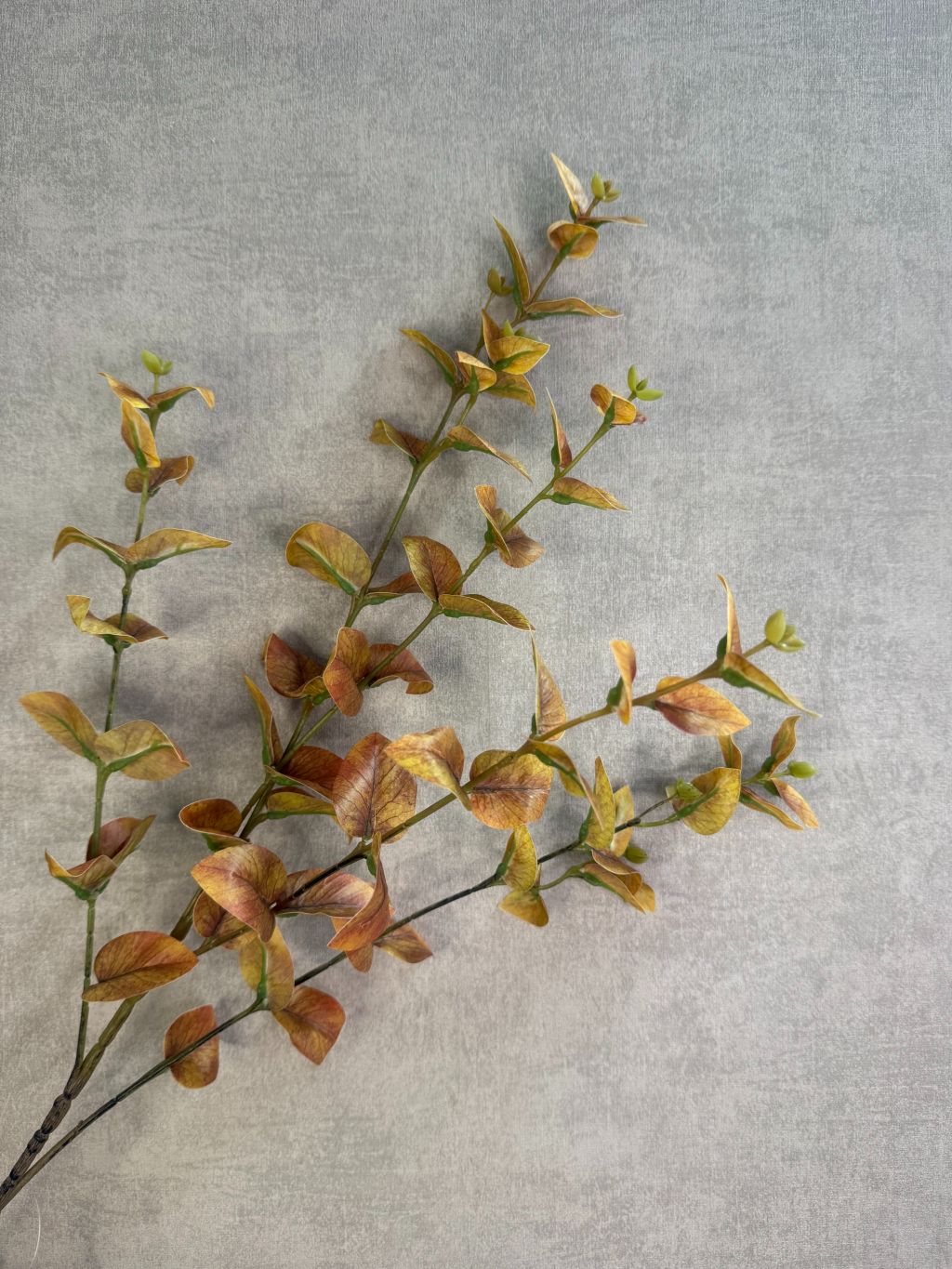 Lange kunsttak met bruin-rose eucalyptusbladeren tegen een grijze achtergrond.