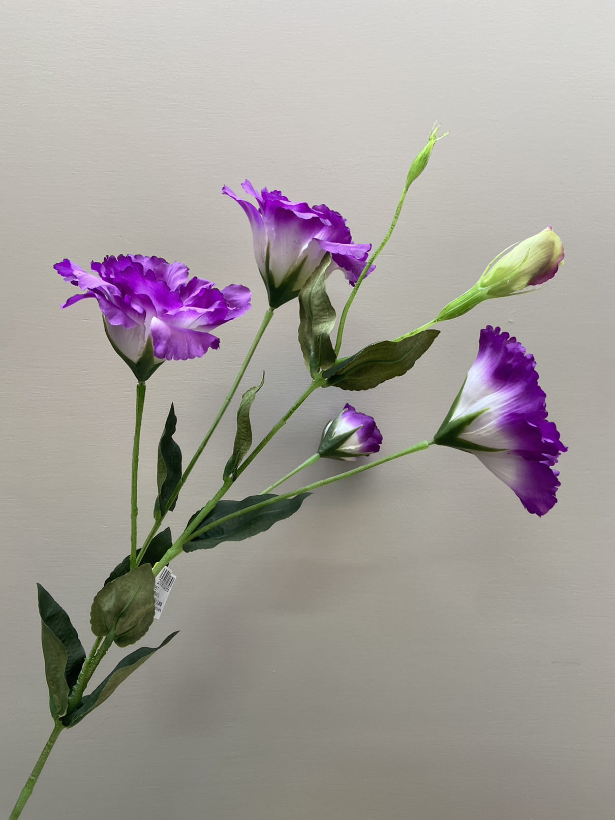 Kunstbloem, lisianthus, paars