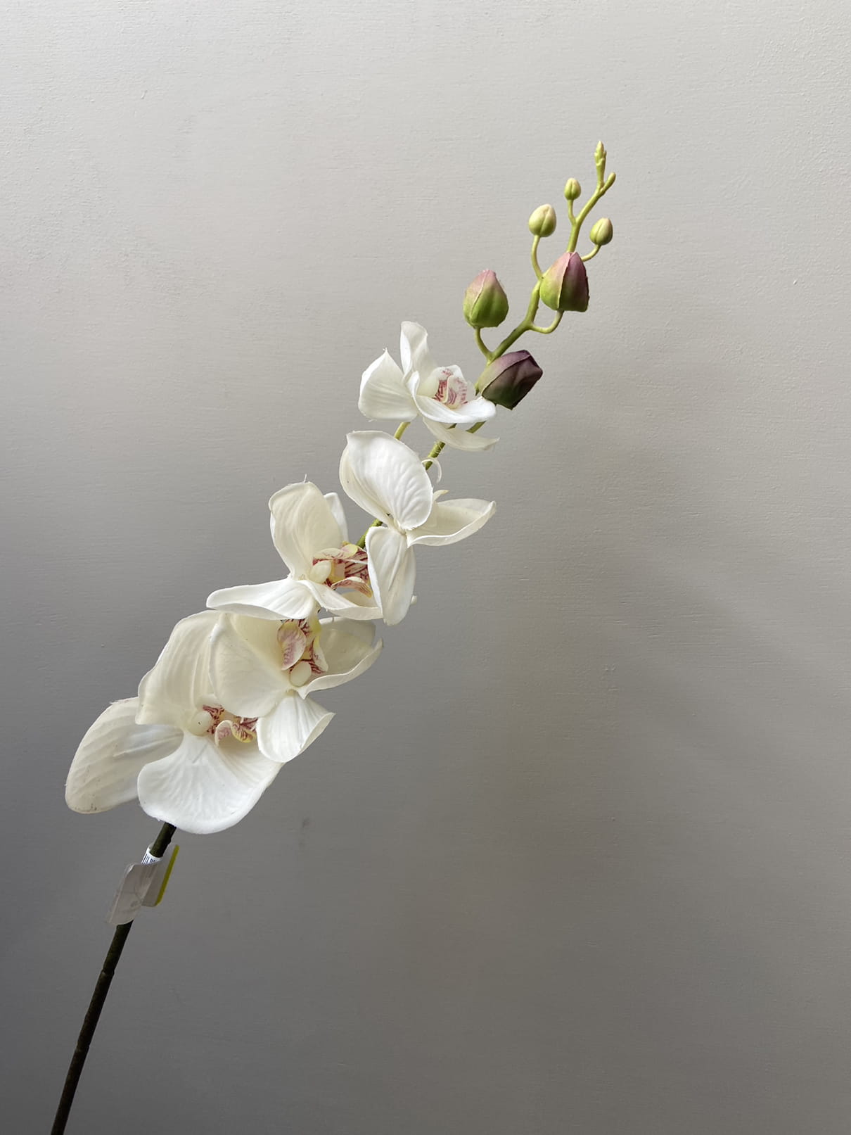 Artificial branch Orchid white