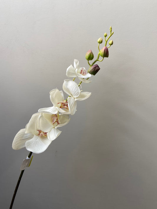 Kunsttak Orchidee wit